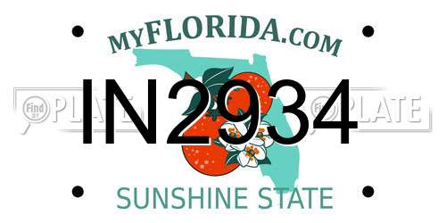 IN2934 Florida License Plate