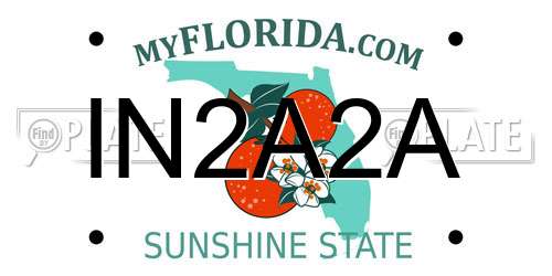 IN2A2A Florida License Plate