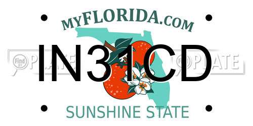 IN31CD Florida License Plate