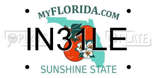 IN31LE Florida License Plate