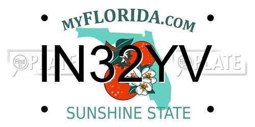 IN32YV Florida License Plate
