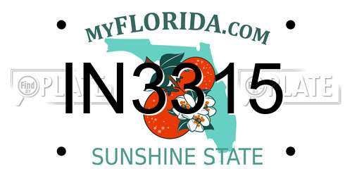 IN3315 Florida License Plate