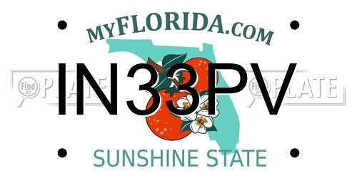 IN33PV Florida License Plate