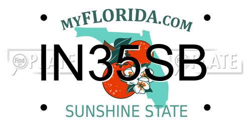 IN35SB Florida License Plate