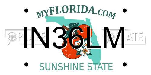 IN36LM Florida License Plate