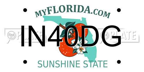 IN40DG Florida License Plate