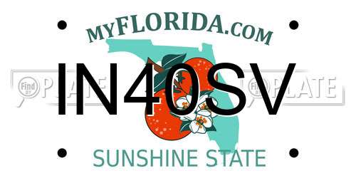 IN40SV Florida License Plate