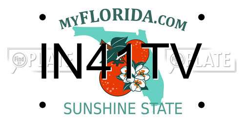 IN41TV Florida License Plate