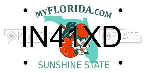 IN41XD Florida License Plate