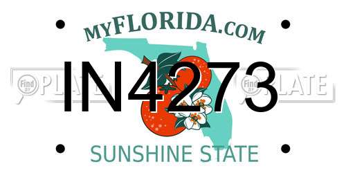 IN4273 Florida License Plate