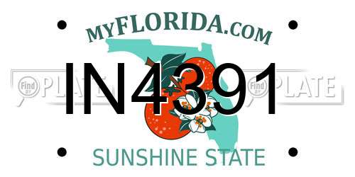 IN4391 Florida License Plate