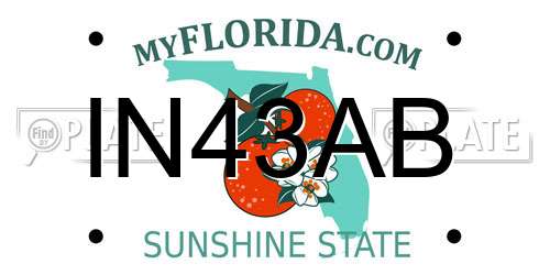 IN43AB Florida License Plate