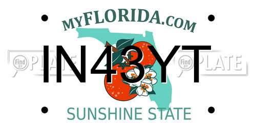 IN43YT Florida License Plate