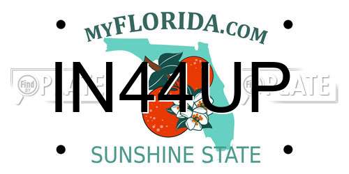 IN44UP Florida License Plate