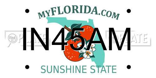 IN45AM Florida License Plate