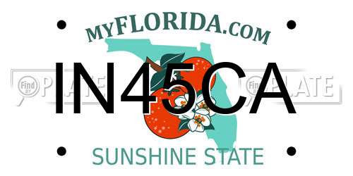 IN45CA Florida License Plate