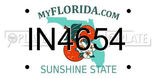 IN4654 Florida License Plate