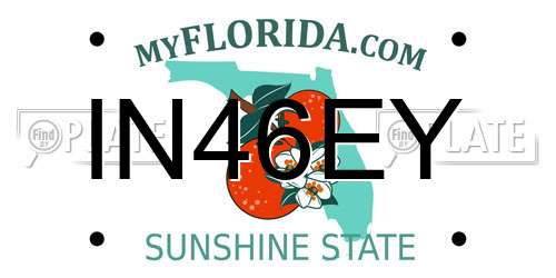 IN46EY Florida License Plate