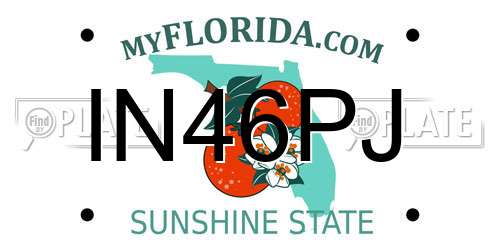 IN46PJ Florida License Plate