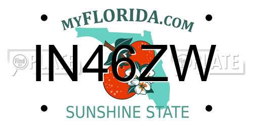IN46ZW Florida License Plate