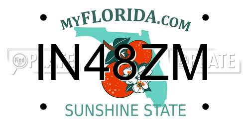 IN48ZM Florida License Plate