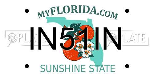 IN51IN Florida License Plate