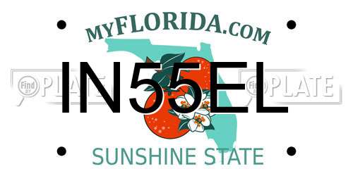 IN55EL Florida License Plate