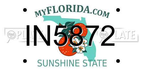 IN5872 Florida License Plate