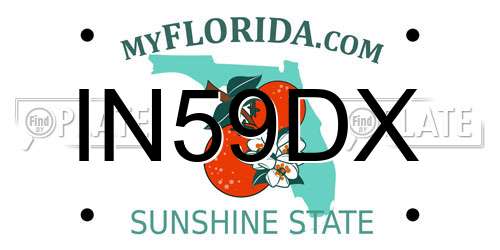 IN59DX Florida License Plate