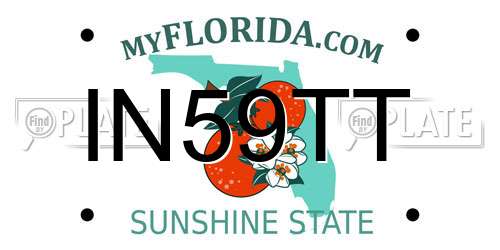 IN59TT Florida License Plate