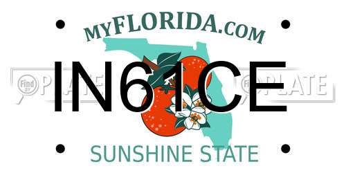IN61CE Florida License Plate