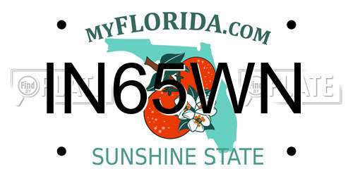 IN65WN Florida License Plate