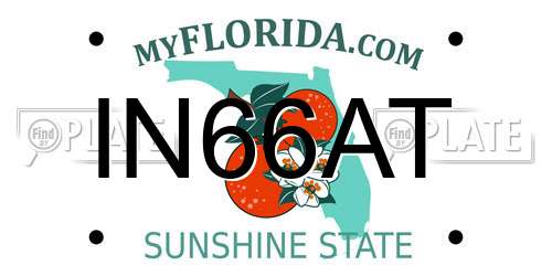 IN66AT Florida License Plate