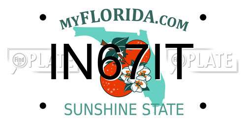 IN67IT Florida License Plate