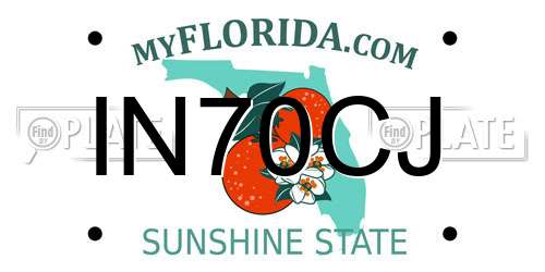 IN70CJ Florida License Plate