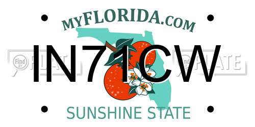 IN71CW Florida License Plate