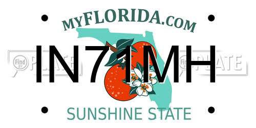 IN71MH Florida License Plate