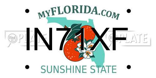IN71XF Florida License Plate