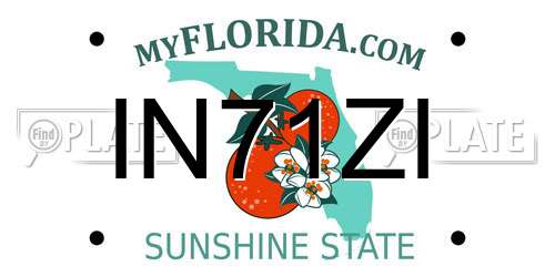 IN71ZI Florida License Plate