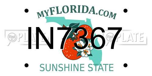 IN7367 Florida License Plate