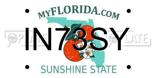 IN73SY Florida License Plate