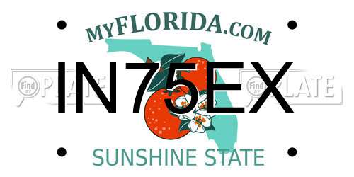 IN75EX Florida License Plate