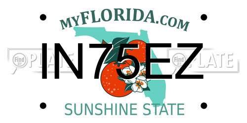 IN75EZ Florida License Plate