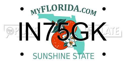 IN75GK Florida License Plate