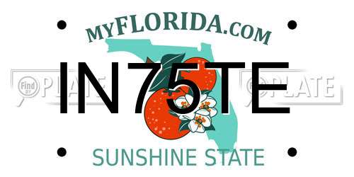 IN75TE Florida License Plate