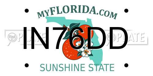 IN76DD Florida License Plate