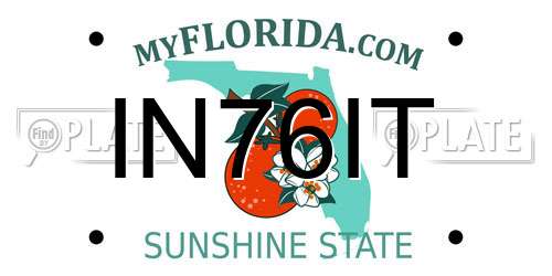 IN76IT Florida License Plate