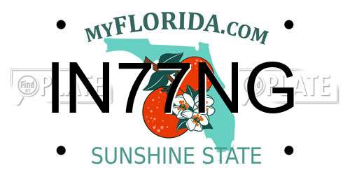 IN77NG Florida License Plate