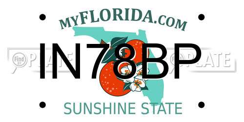 IN78BP Florida License Plate