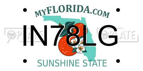 IN78LG Florida License Plate